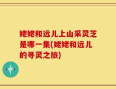 姥姥和远儿上山采灵芝是哪一集(姥姥和远儿的寻灵之旅)
