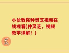 小伙教你种灵芝视频在线观看(种灵芝，视频教学详解！)