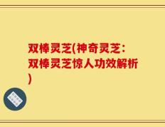 双棒灵芝(神奇灵芝：双棒灵芝惊人功效解析)