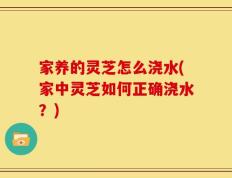 家养的灵芝怎么浇水(家中灵芝如何正确浇水？)