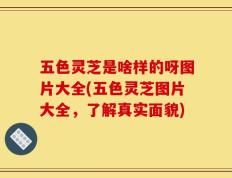 五色灵芝是啥样的呀图片大全(五色灵芝图片大全，了解真实面貌)