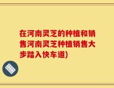 在河南灵芝的种植和销售河南灵芝种植销售大步踏入快车道)