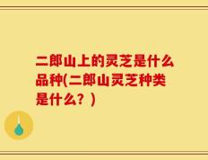 二郎山上的灵芝是什么品种(二郎山灵芝种类是什么？)