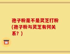 孢子粉是不是灵芝打粉(孢子粉与灵芝有何关系？)