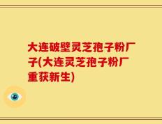 大连破壁灵芝孢子粉厂子(大连灵芝孢子粉厂重获新生)