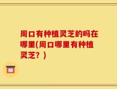 周口有种植灵芝的吗在哪里(周口哪里有种植灵芝？)