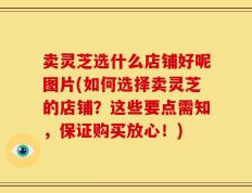 卖灵芝选什么店铺好呢图片(如何选择卖灵芝的店铺？这些要点需知，保证购买放心！)