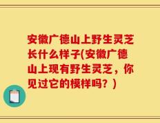 安徽广德山上野生灵芝长什么样子(安徽广德山上现有野生灵芝，你见过它的模样吗？)
