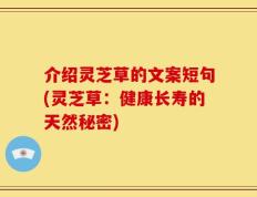 介绍灵芝草的文案短句(灵芝草：健康长寿的天然秘密)