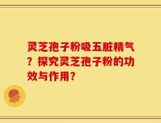 灵芝孢子粉吸五脏精气？探究灵芝孢子粉的功效与作用？