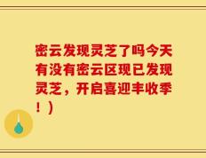 密云发现灵芝了吗今天有没有密云区现已发现灵芝，开启喜迎丰收季！)
