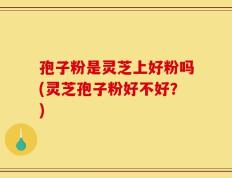 孢子粉是灵芝上好粉吗(灵芝孢子粉好不好？)