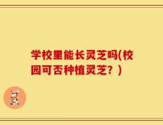 学校里能长灵芝吗(校园可否种植灵芝？)