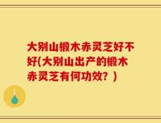 大别山椴木赤灵芝好不好(大别山出产的椴木赤灵芝有何功效？)