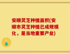 安顺灵芝种植面积(安顺市灵芝种植已成规模化，是当地重要产业)