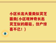 小区长出大量类似灵芝菌类(小区现神奇长出灵芝似的蘑菇，住户惊喜不已！)