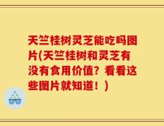 天竺桂树灵芝能吃吗图片(天竺桂树和灵芝有没有食用价值？看看这些图片就知道！)