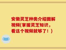 安徽灵芝种类介绍图解视频(掌握灵芝知识，看这个视频就够了！)