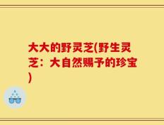 大大的野灵芝(野生灵芝：大自然赐予的珍宝)