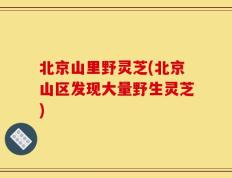 北京山里野灵芝(北京山区发现大量野生灵芝)