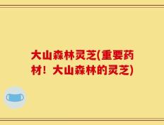 大山森林灵芝(重要药材！大山森林的灵芝)