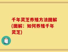 千年灵芝养殖方法图解(图解：如何养殖千年灵芝)