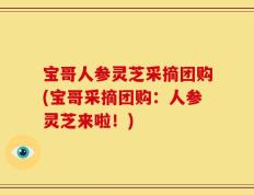 宝哥人参灵芝采摘团购(宝哥采摘团购：人参灵芝来啦！)