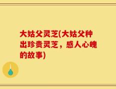 大姑父灵芝(大姑父种出珍贵灵芝，感人心魄的故事)