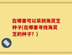 在哪里可以采到海灵芝种子(在哪里寻找海灵芝的种子？)
