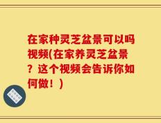 在家种灵芝盆景可以吗视频(在家养灵芝盆景？这个视频会告诉你如何做！)