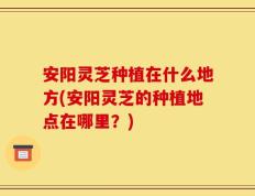 安阳灵芝种植在什么地方(安阳灵芝的种植地点在哪里？)
