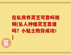 在私房养灵芝可靠吗视频(私人种植灵芝靠谱吗？小贴士教你成功！)