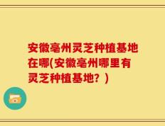 安徽亳州灵芝种植基地在哪(安徽亳州哪里有灵芝种植基地？)
