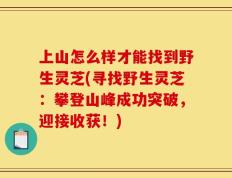 上山怎么样才能找到野生灵芝(寻找野生灵芝：攀登山峰成功突破，迎接收获！)