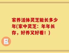家养活体灵芝能长多少年(家中灵芝：年年长存，好养又好看！)