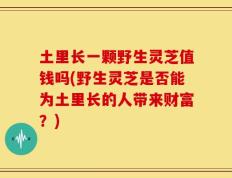 土里长一颗野生灵芝值钱吗(野生灵芝是否能为土里长的人带来财富？)