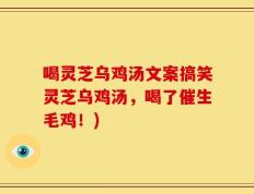 喝灵芝乌鸡汤文案搞笑灵芝乌鸡汤，喝了催生毛鸡！)