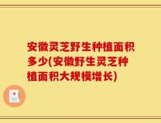 安徽灵芝野生种植面积多少(安徽野生灵芝种植面积大规模增长)