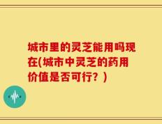 城市里的灵芝能用吗现在(城市中灵芝的药用价值是否可行？)
