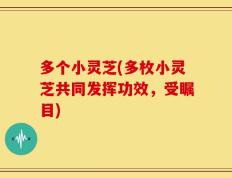 多个小灵芝(多枚小灵芝共同发挥功效，受瞩目)