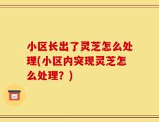 小区长出了灵芝怎么处理(小区内突现灵芝怎么处理？)