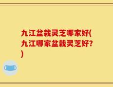 九江盆栽灵芝哪家好(九江哪家盆栽灵芝好？)