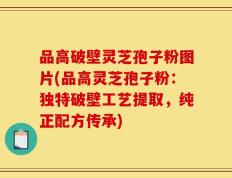 品高破壁灵芝孢子粉图片(品高灵芝孢子粉：独特破壁工艺提取，纯正配方传承)