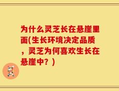 为什么灵芝长在悬崖里面(生长环境决定品质，灵芝为何喜欢生长在悬崖中？)