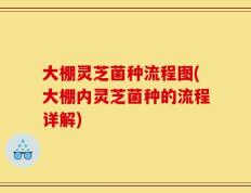 大棚灵芝菌种流程图(大棚内灵芝菌种的流程详解)