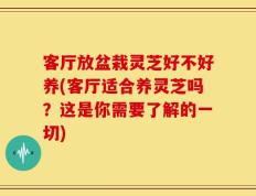 客厅放盆栽灵芝好不好养(客厅适合养灵芝吗？这是你需要了解的一切)