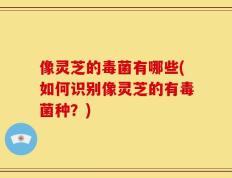像灵芝的毒菌有哪些(如何识别像灵芝的有毒菌种？)