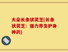 大朵长条状灵芝(长条状灵芝：强力养生护身神药)