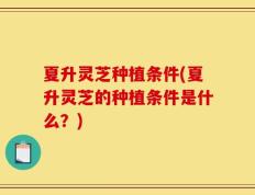 夏升灵芝种植条件(夏升灵芝的种植条件是什么？)