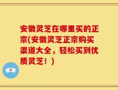 安徽灵芝在哪里买的正宗(安徽灵芝正宗购买渠道大全，轻松买到优质灵芝！)